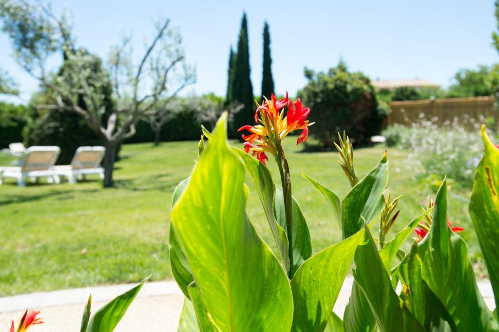 Best Western Hotel Aurelia Maussane-les-Alpilles Exterior photo